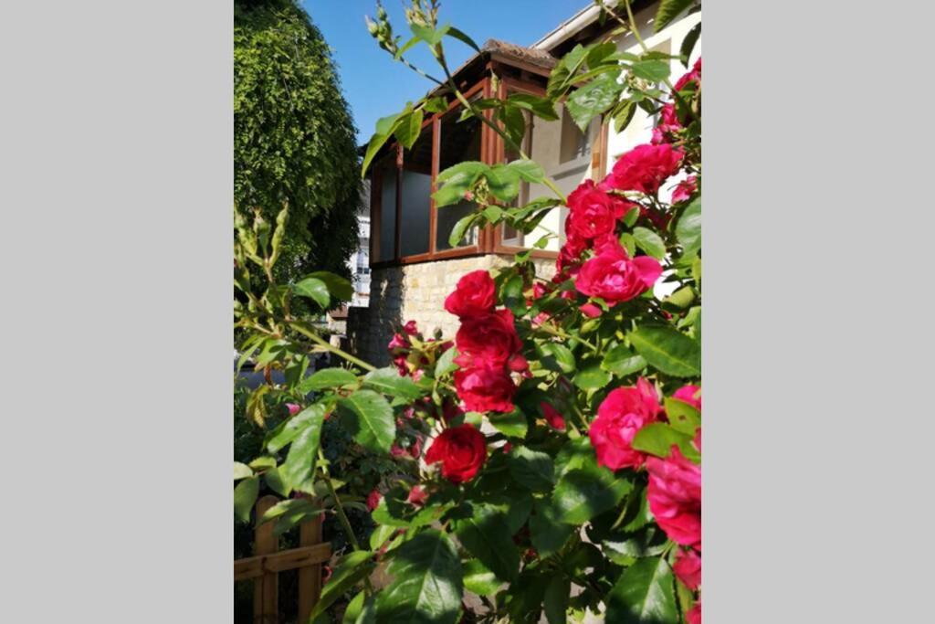 La Roseliere Maison Plain Pied Confortable Belle Decoration Jardin Magnifique 10 Mn A Pied Centre Ville Bayeux Proche Plages Du Debarquement エクステリア 写真