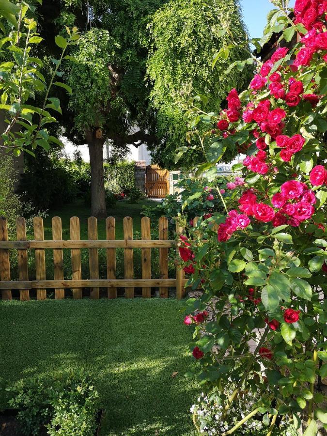 La Roseliere Maison Plain Pied Confortable Belle Decoration Jardin Magnifique 10 Mn A Pied Centre Ville Bayeux Proche Plages Du Debarquement エクステリア 写真